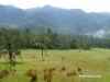 picoduarte - 65